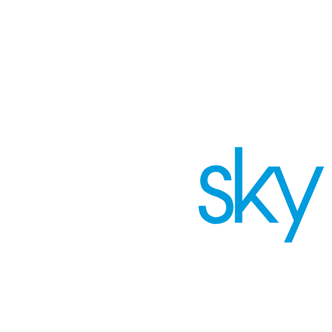 DINNER IN THE SKY  